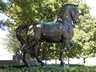 Horse for 'Alvear' Monument
