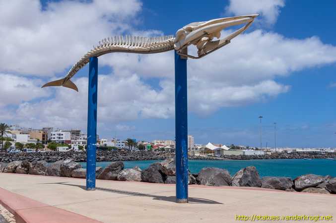 Puerto del Rosario /  Esqueleto de un rorcual tropical