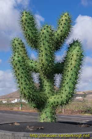 Guatiza /  Cactus