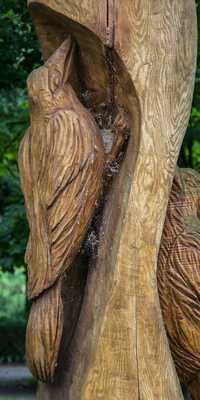 Grimmen - Vögel auf einem Baum